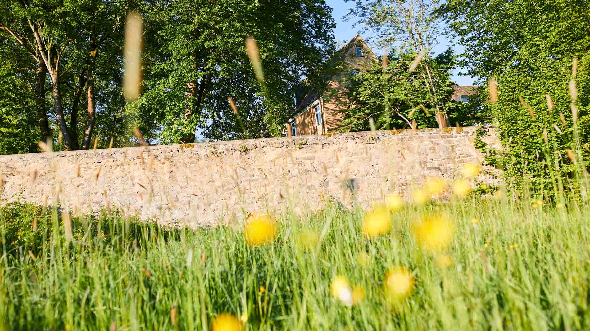 Kirchliches Tagungszentrum Natur Hanau Schmerlenbach Kirchliches Tagungszentrum Natur Hanau Schmerlenbach