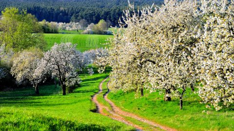 Freizeit Tagungszentrum Schmerlenbach Wandern Natur