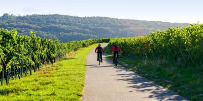 Natur Tagungszentrum Schmerlenbach Aschaffenburg Radfahren