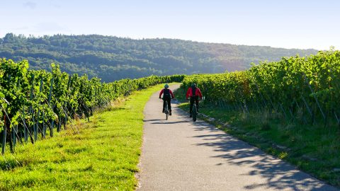 Natur Tagungszentrum Schmerlenbach Aschaffenburg Radfahren
