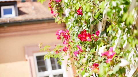 Romantikwochenende Familienurlaub Aschaffenburg Schmerlenbach