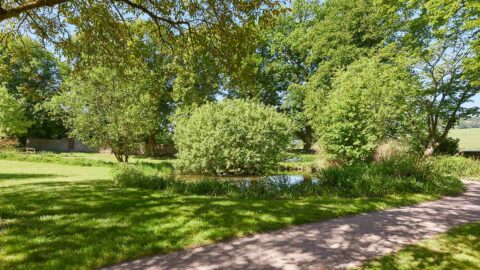 Tagungshote Im Grünen Teich Natur Schmelenbach