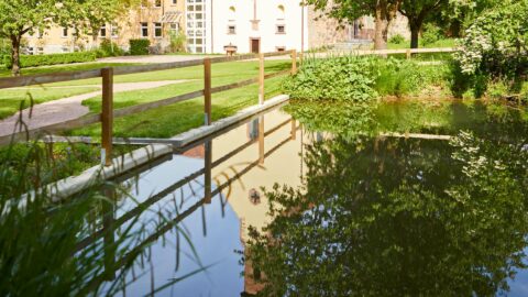 Teich Kurzurlaub Geschäftsreise Wanderurlaub Schmerlenbach